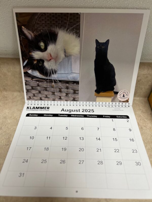 12x12 Calendar - Image 5