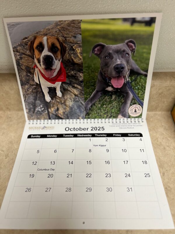 12x12 Calendar - Image 3