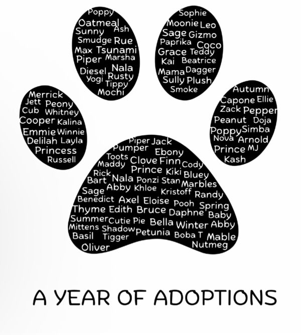 Pink One Year of Animals Tee - Image 2